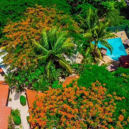 Casa Tropical Playa Grande