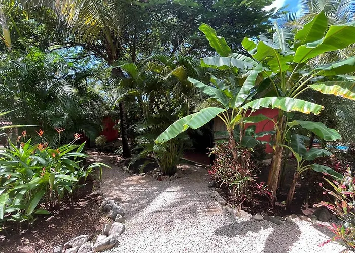 Bed & Breakfast Casa Tropical Playa Grande Cuajiniquil