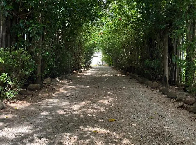 Casa Tropical Playa Grande Bed & Breakfast
