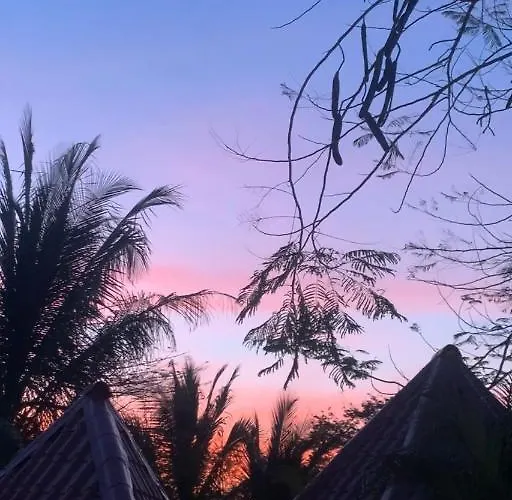 Casa Tropical Playa Grande Bed & Breakfast 4*