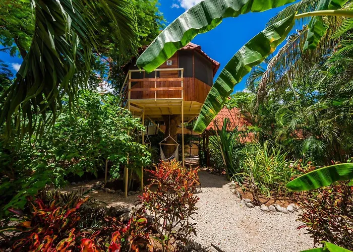 Casa Tropical Playa Grande Bed & Breakfast