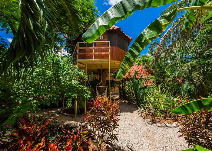 Bed & Breakfast Casa Tropical Playa Grande Cuajiniquil